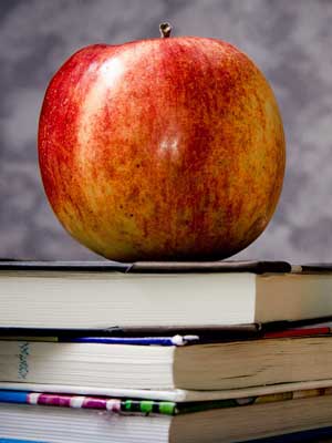 ddos攻击在哪能买到